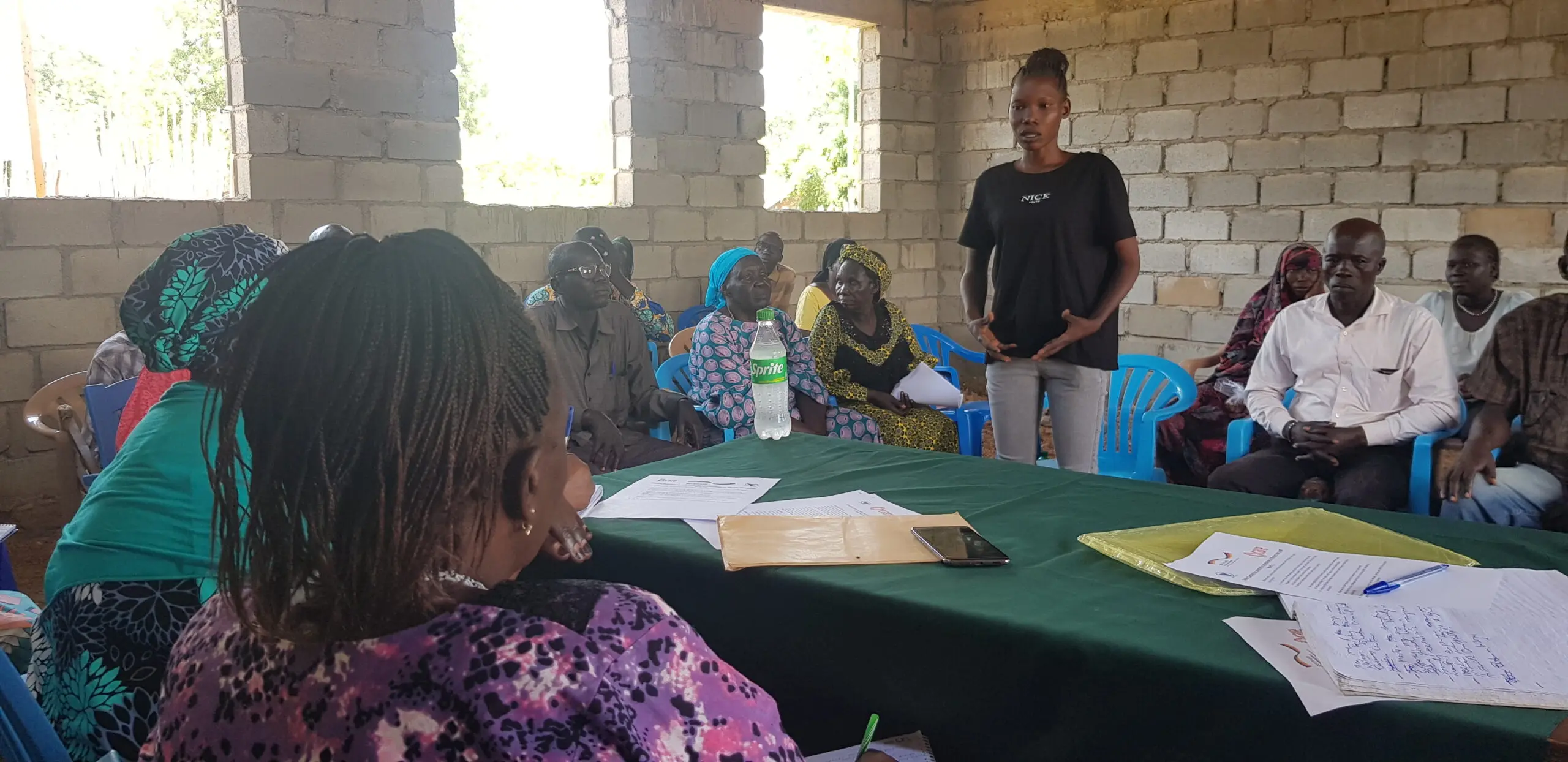 Gender Mainstreaming and Child Protection